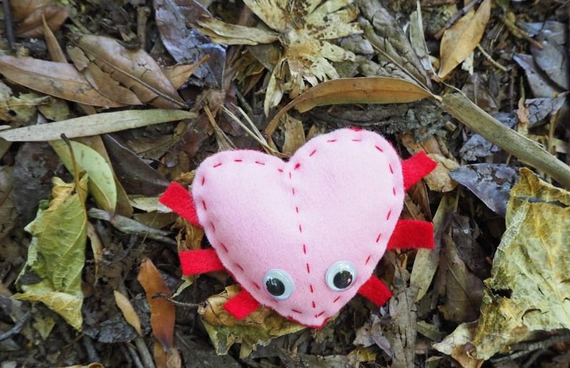 Love Bug Stitch + Sew