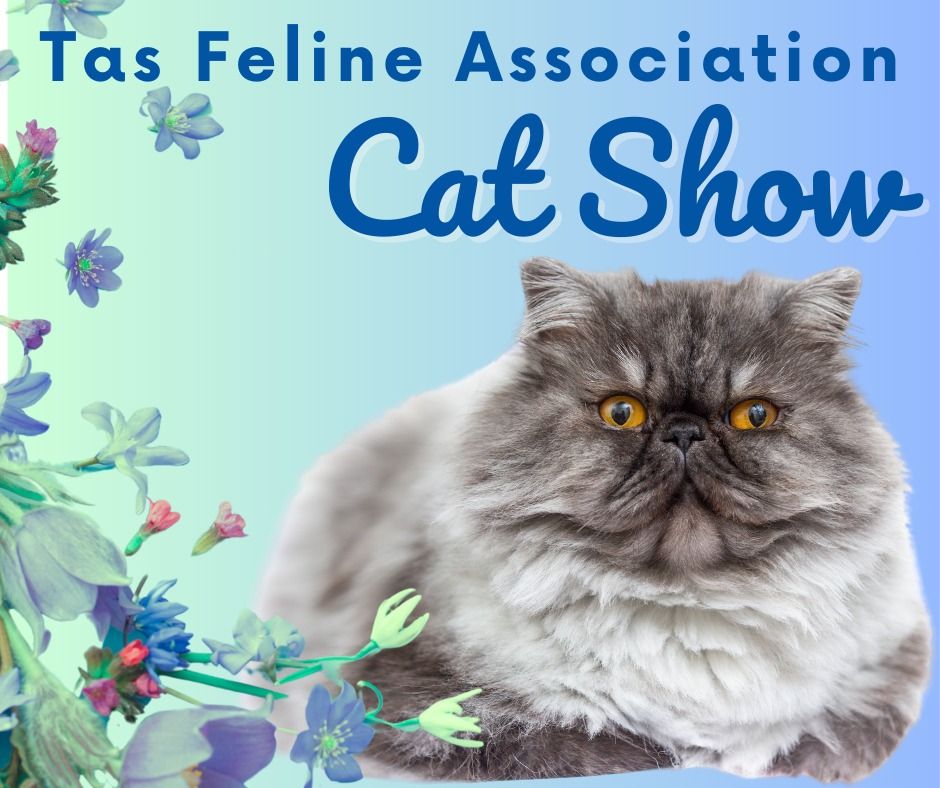 Tas Feline Association - Cat Show