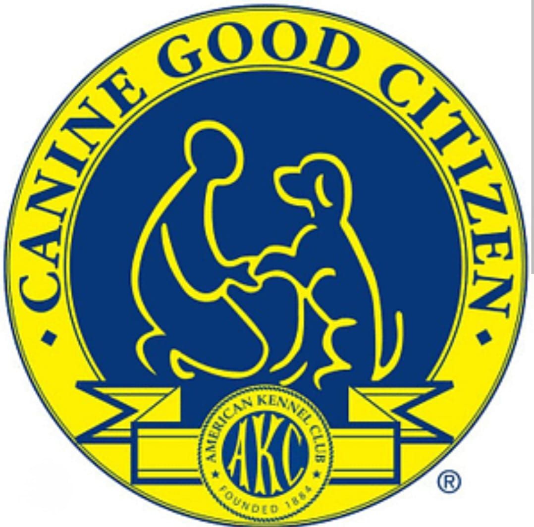 AKC Canine Good Citizen Test