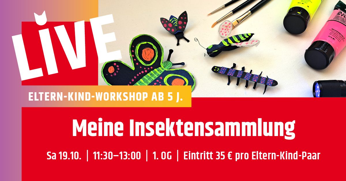 Kreativ-Workshop: Meine Insektensammlung