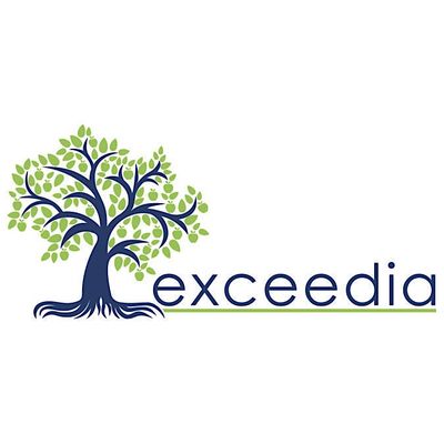 Exceedia Consulting Ltd.