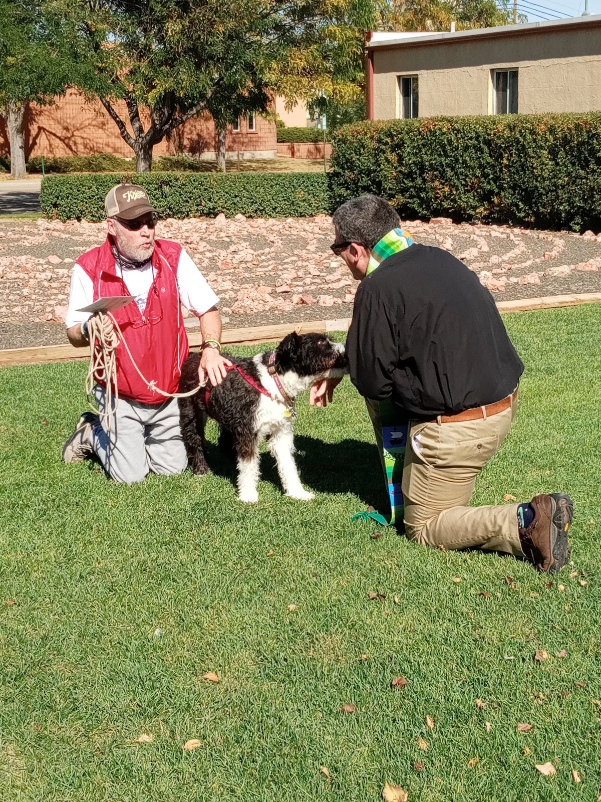 Blessing of the Pets