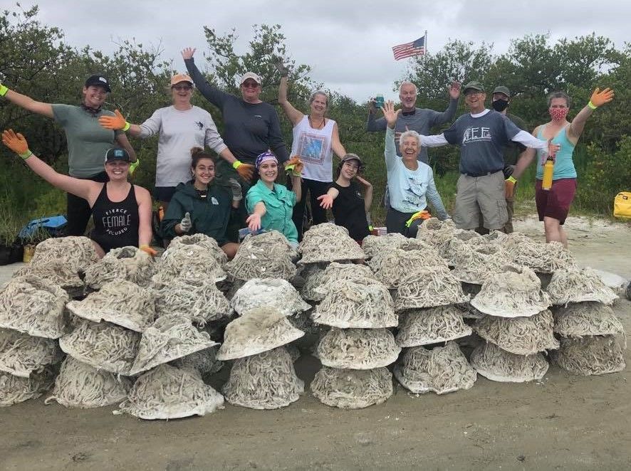 Oyster Volcano Workshop