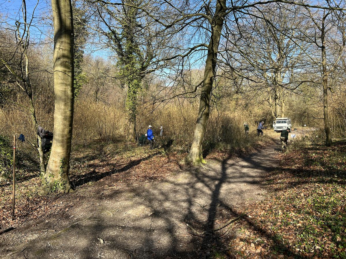 Conservation volunteering at Larkey Valley Wood, Chartham
