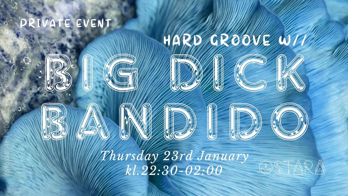 hard groove w\/\/ BIG DICK BANDIDO (privat)