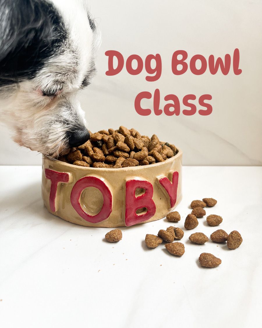 Dog Bowl Class