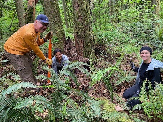 Restoration Event with WA State Parks at Squak Mountain