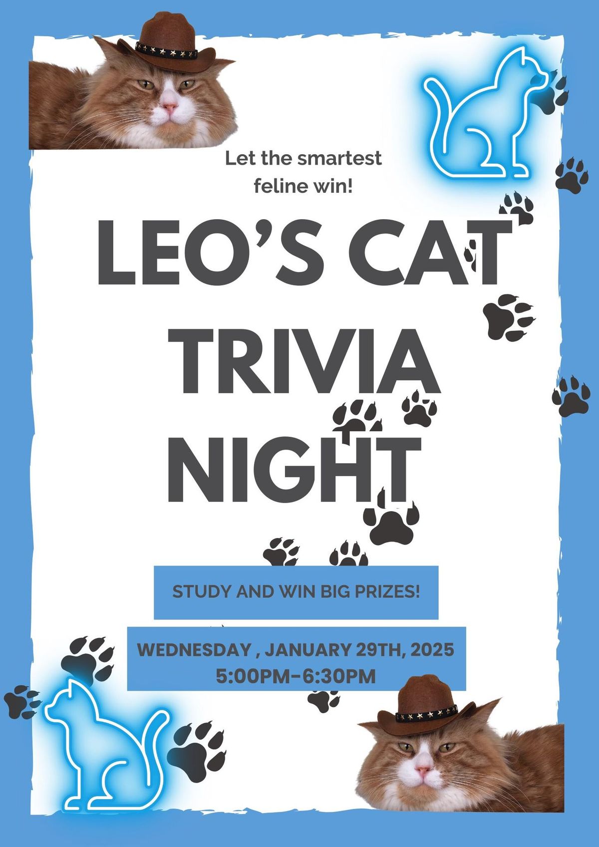 Leo\u2019s Cat Trivia