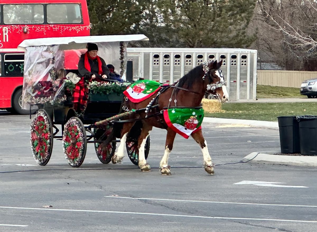 Horse & Carriage Rides at the 2024 Jamestown NY Jingle & Mingle Winter Festival! (FREE)