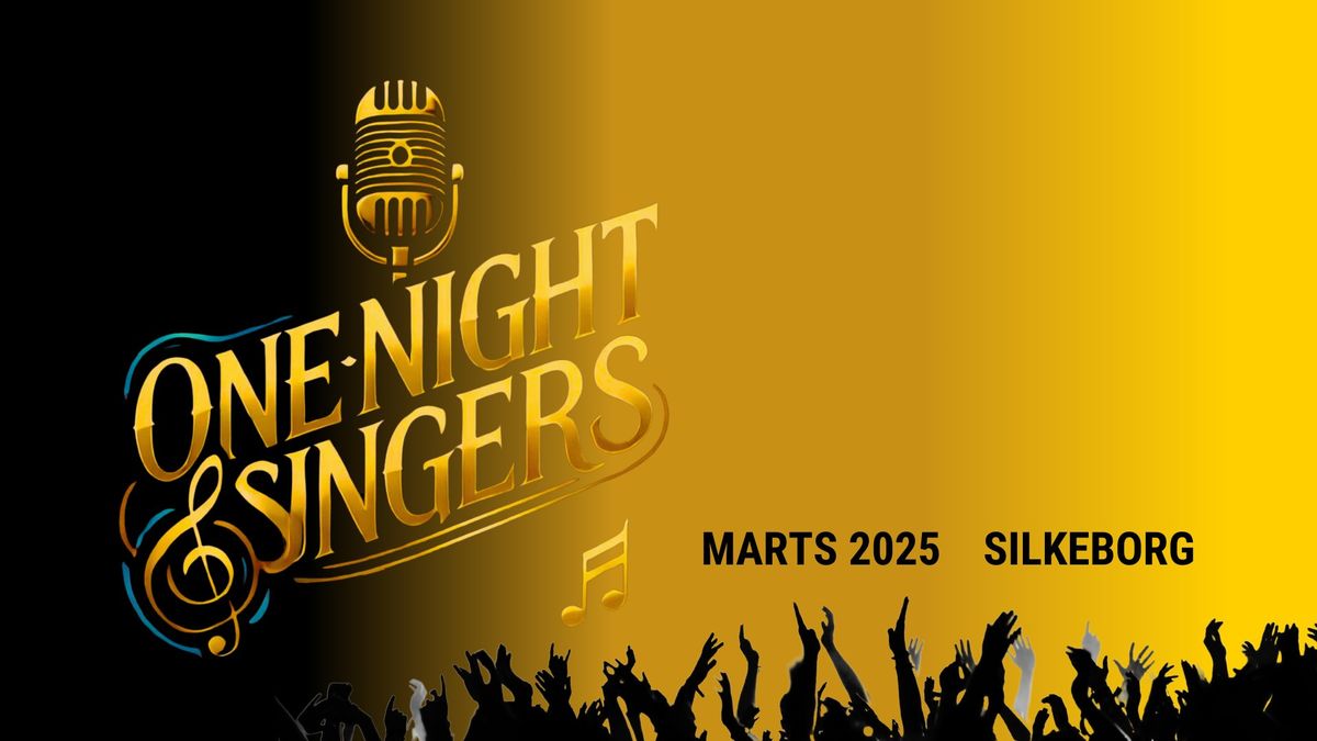 One Night Singers  -  pop-up kor i Silkeborg