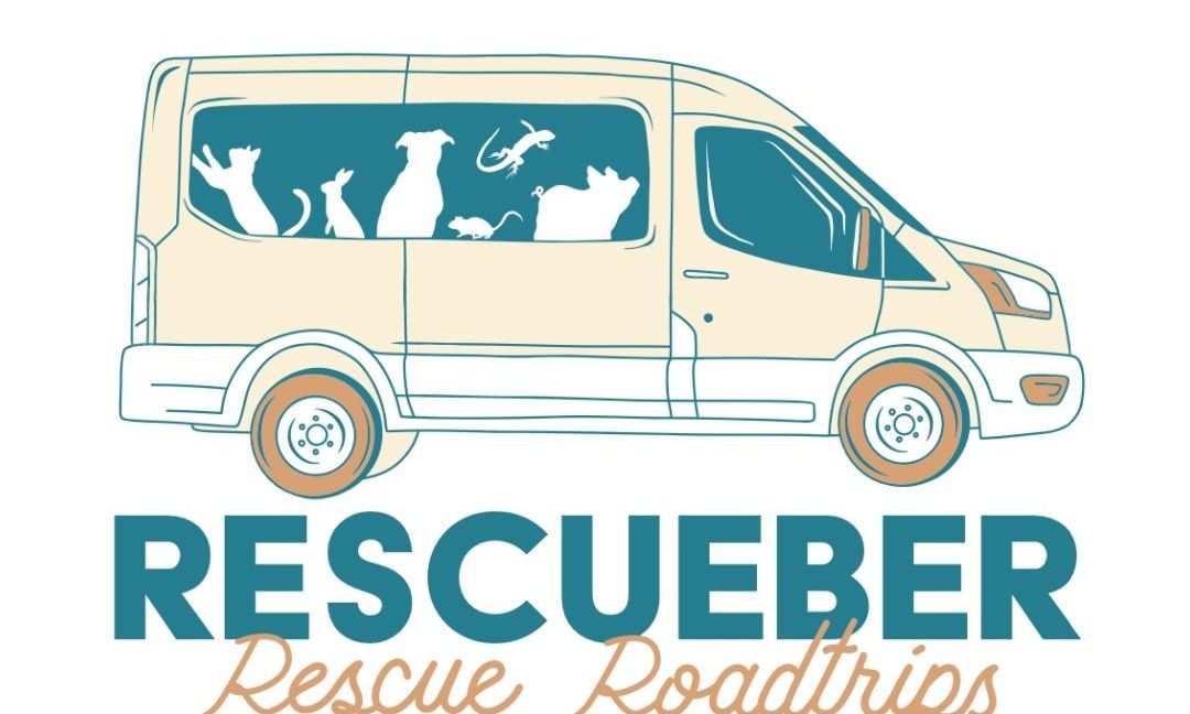 Rescueber Bingo Night