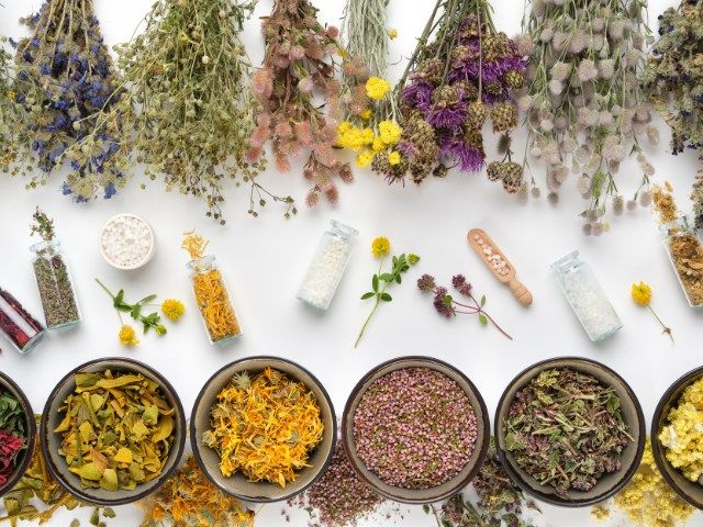 Medicinal Herbs & their Preparations