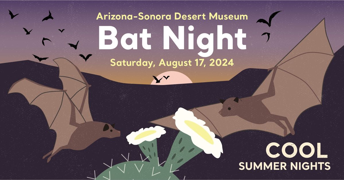 Bat Night (Cool Summer Nights)