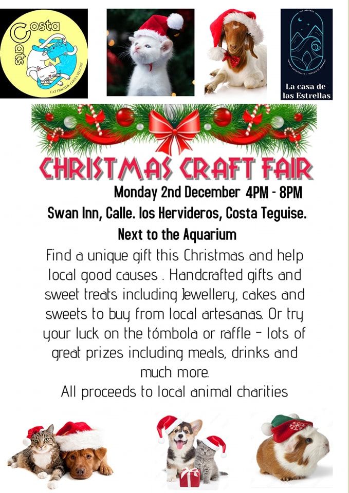 Christmas Craft Fair @ Swan Inn