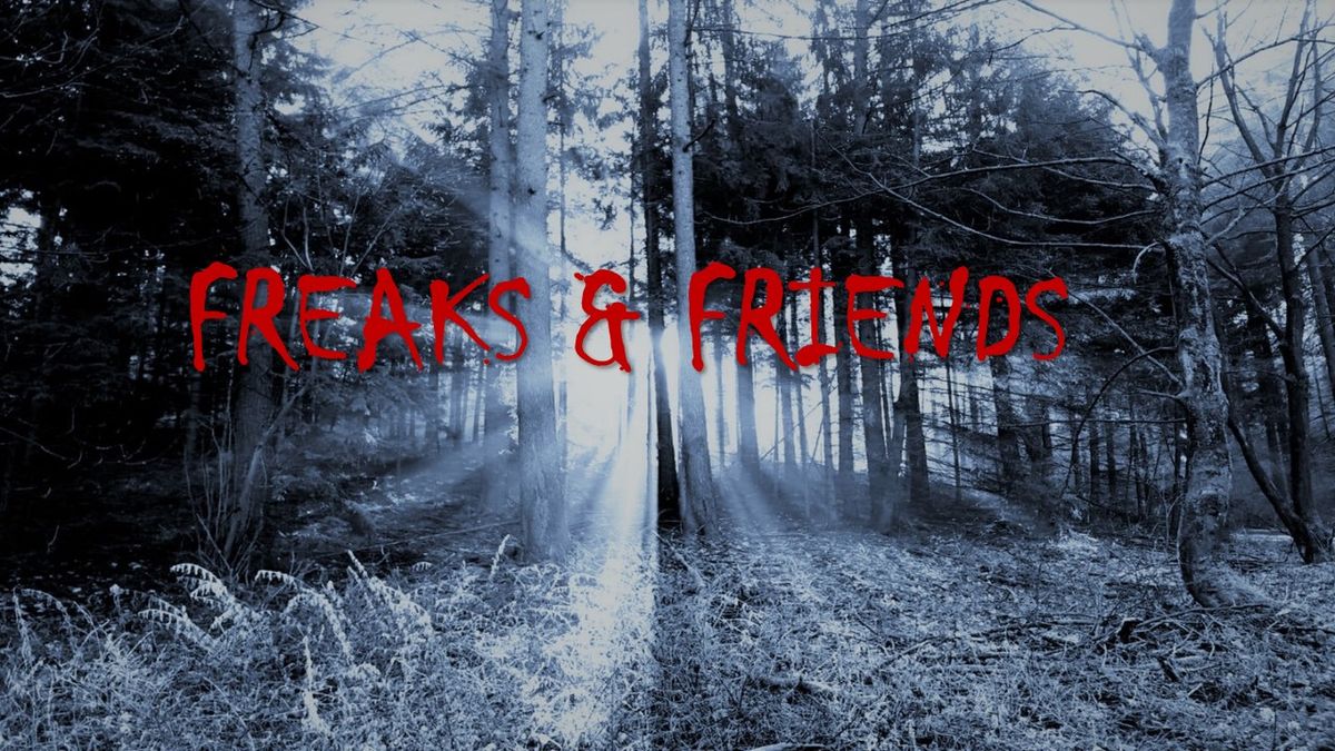 FREAKS & FRIENDS I New Dark Cold Synth Wave, Post Punk, Indie, Gothic, Batcave, Minimal, NDW, EBM