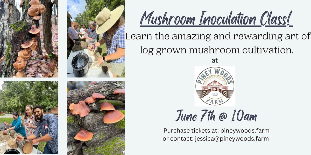 Mushroom Inoculation Class!