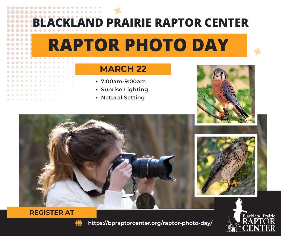 Raptor Photo Day - March 22