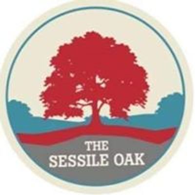 Sessile Oak