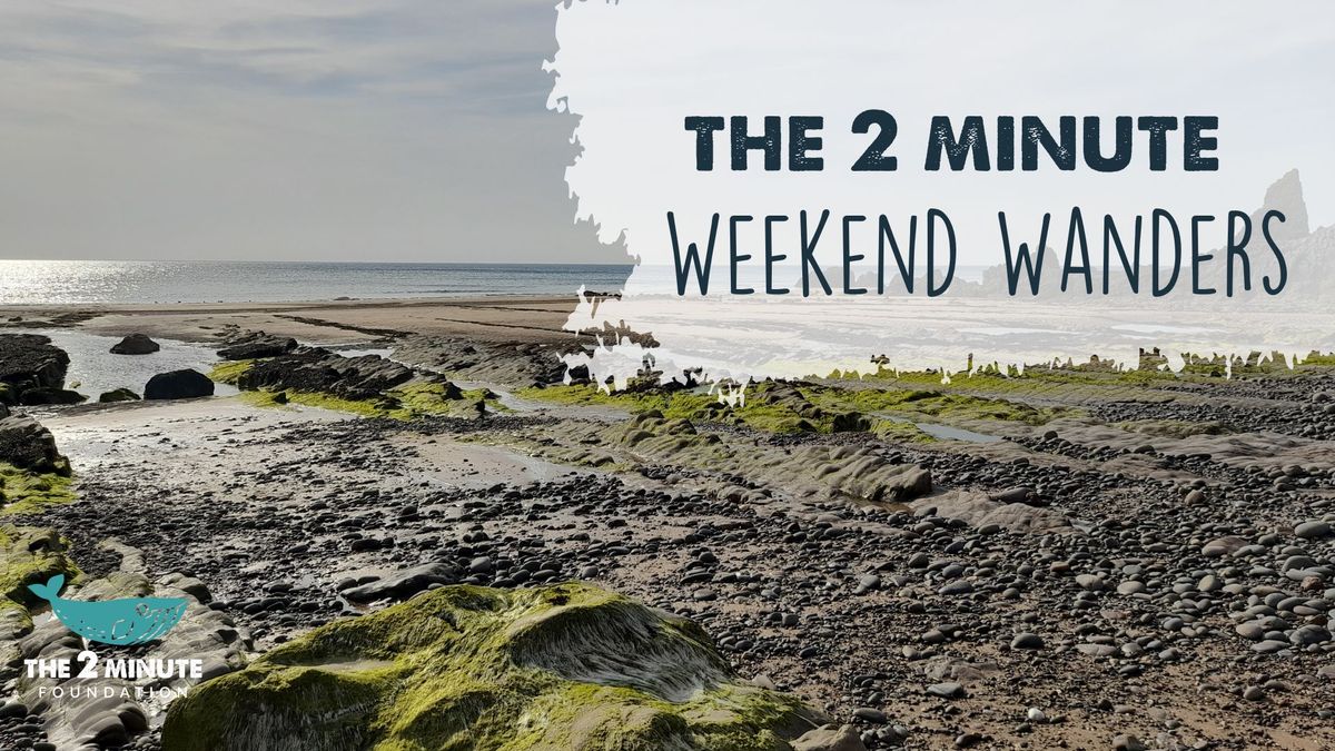 The 2 Minute Weekend Wanders - Christmas crafting!