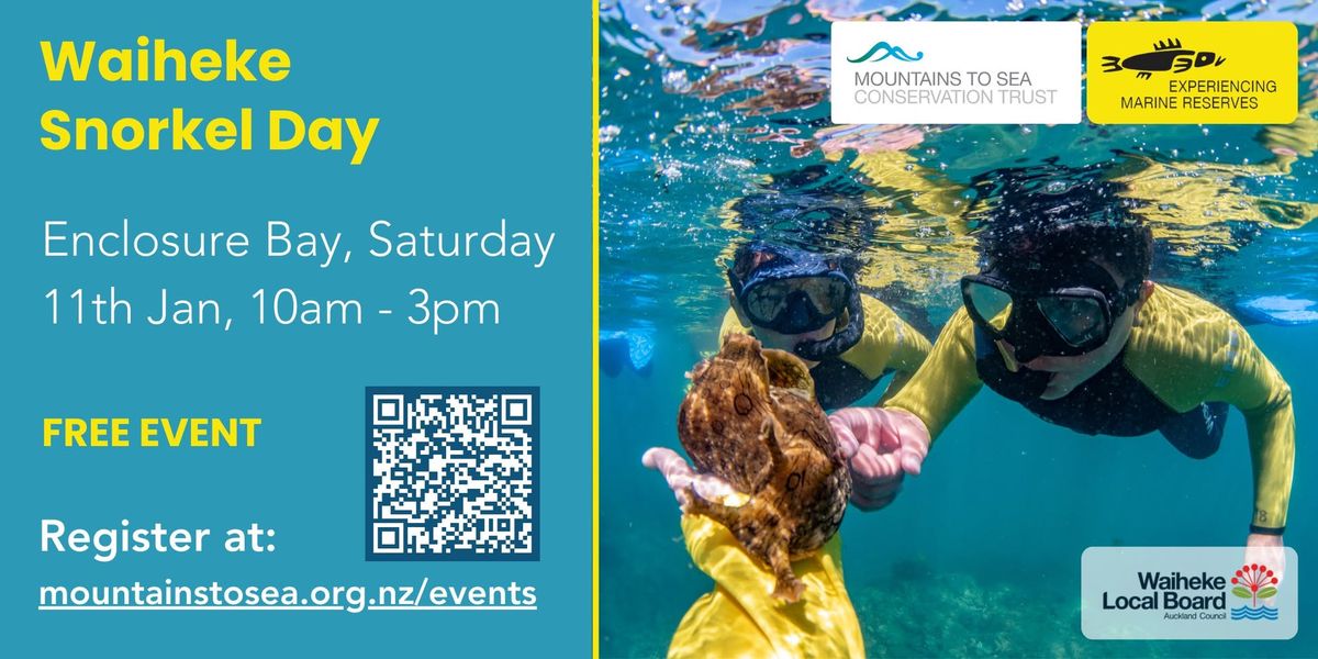 Waiheke Snorkel Day 