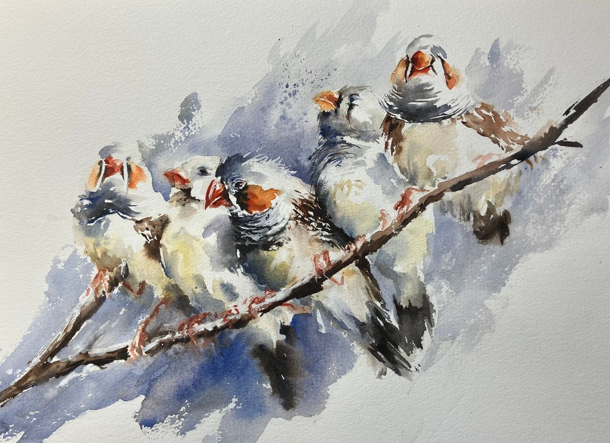 WATERCOLOUR BIRDS PAINTING WORKSHOP  October 11th 