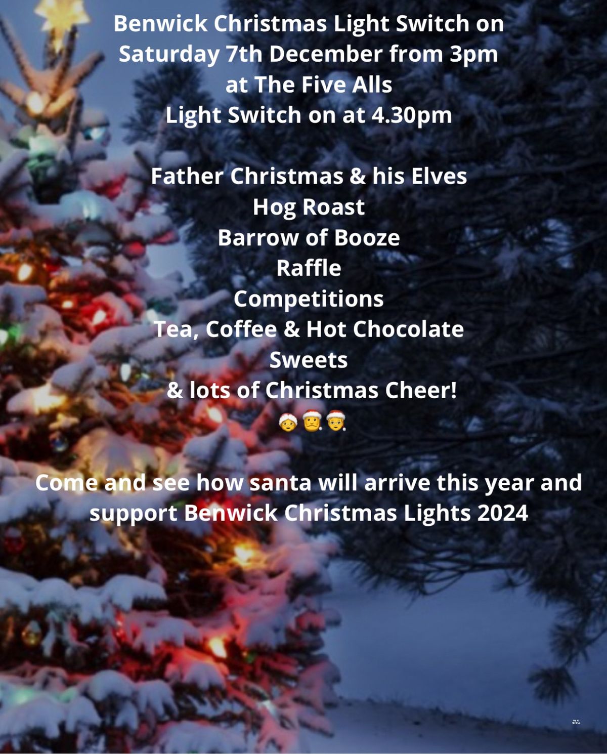 Benwick Christmas Lights Switch on