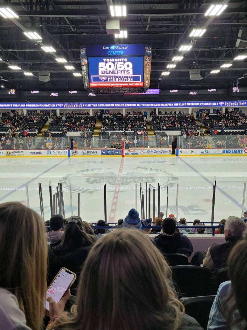 Flint Firebirds at Sarnia Sting at Progressive Auto Sales Arena