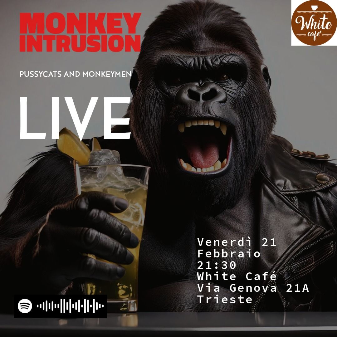 Monkey Intrusion LIVE @WhiteCaf\u00e9