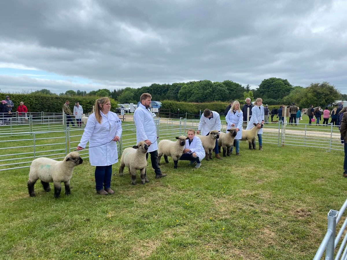 Oxford Downs at Rutland County Show