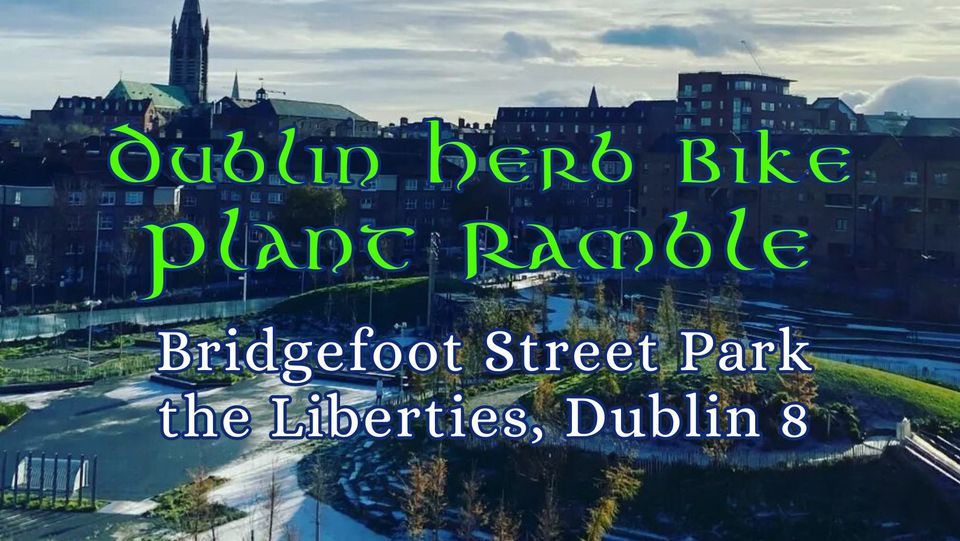 Dublin Herb Bike Plant Ramble - Bridgefoot Street Park