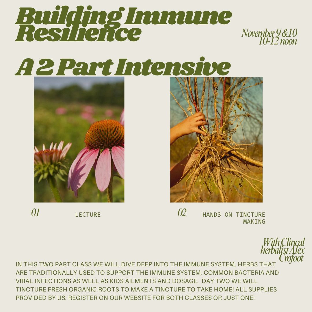 Building Immune Resilience - Herbal Class