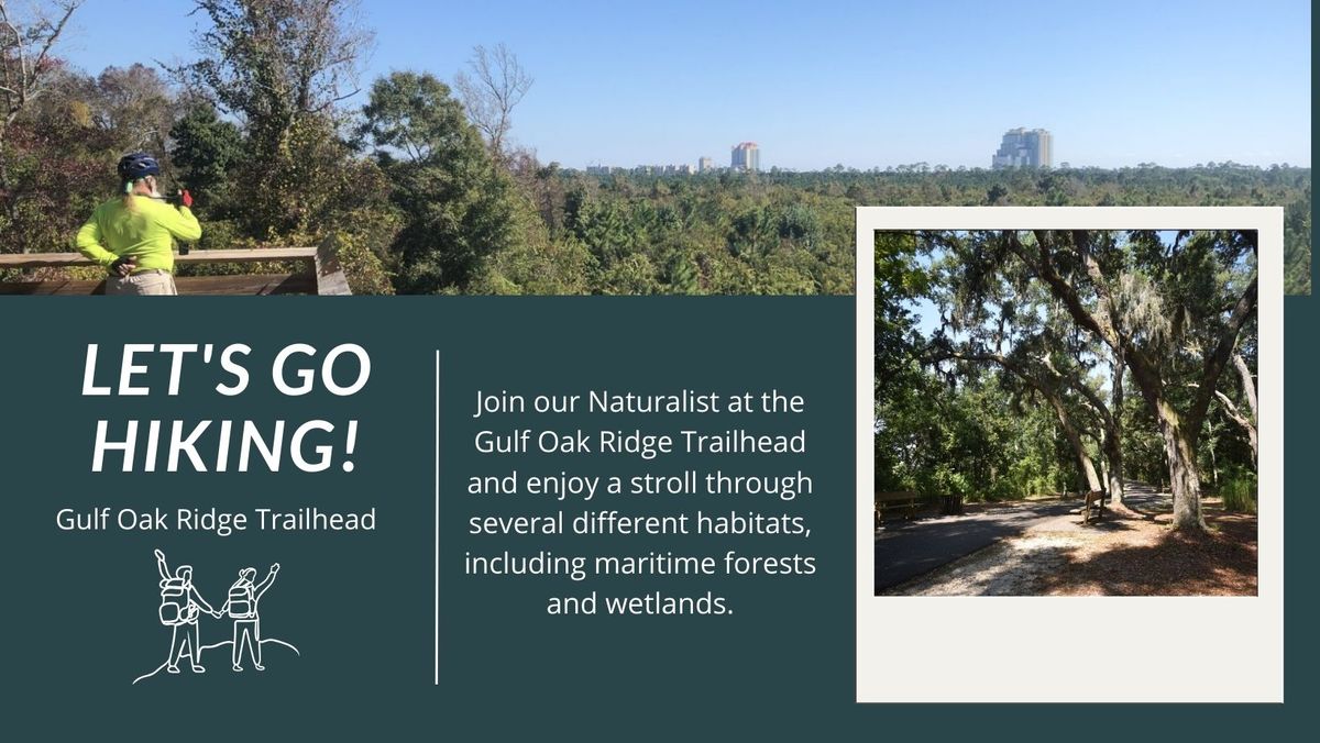 Guided Hike on Gulf Oak Ridge