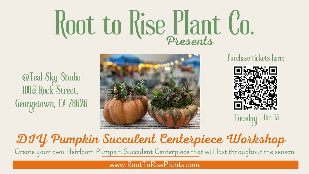 DIY Pumpkin Succulent Workshop at Teal Sky Studios