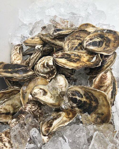 West Passage Oyster Pop-up Event!