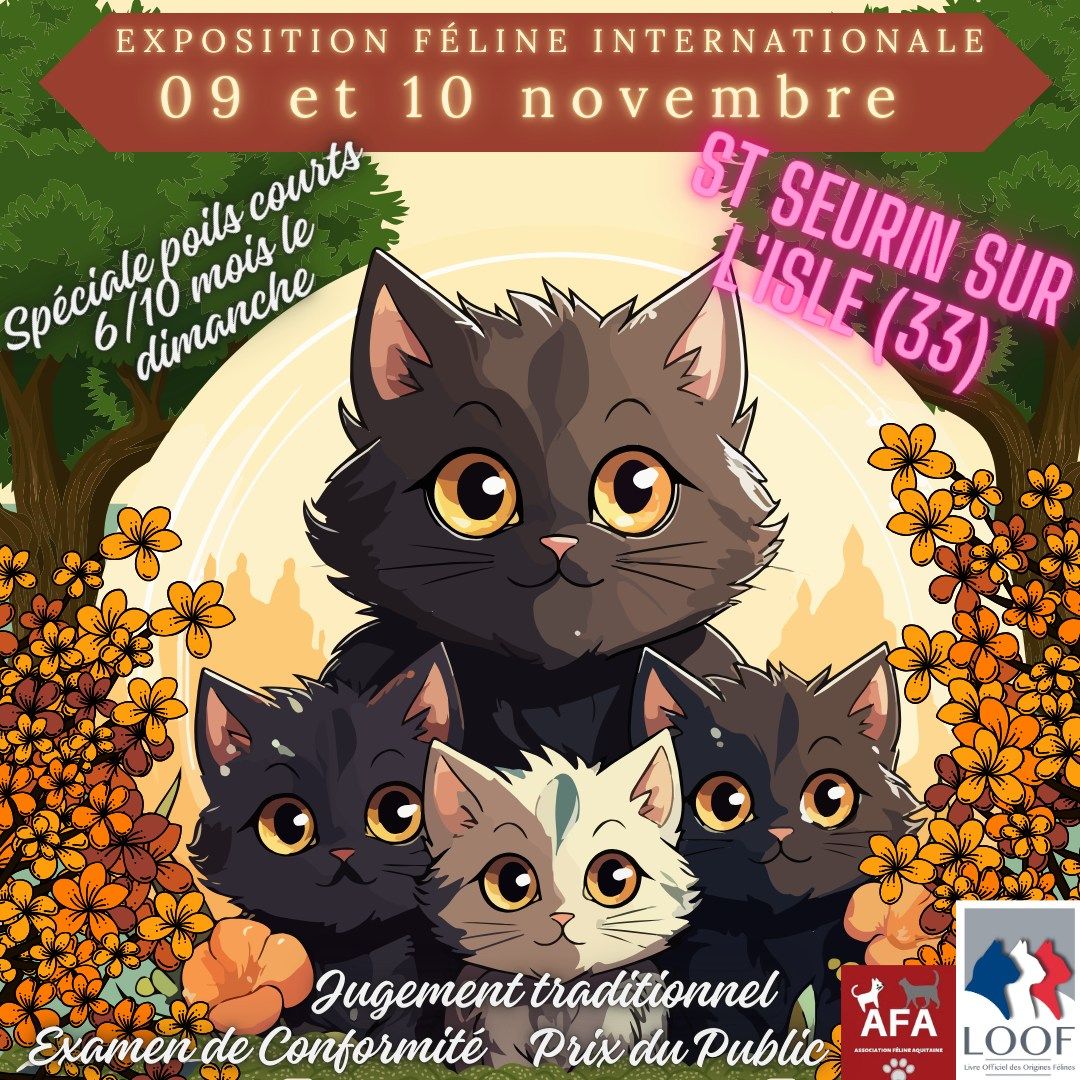 EXPOSITION FELINE INTERNATIONALE