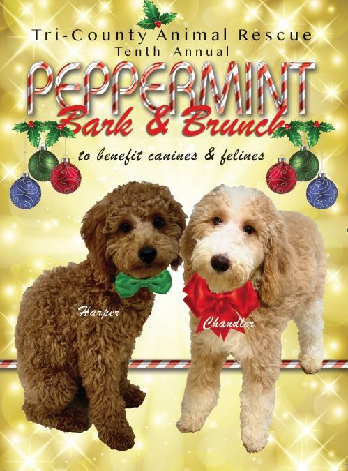 10th Annual Peppermint Bark Brunch