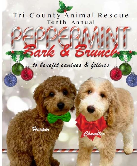 10th Annual Peppermint Bark Brunch