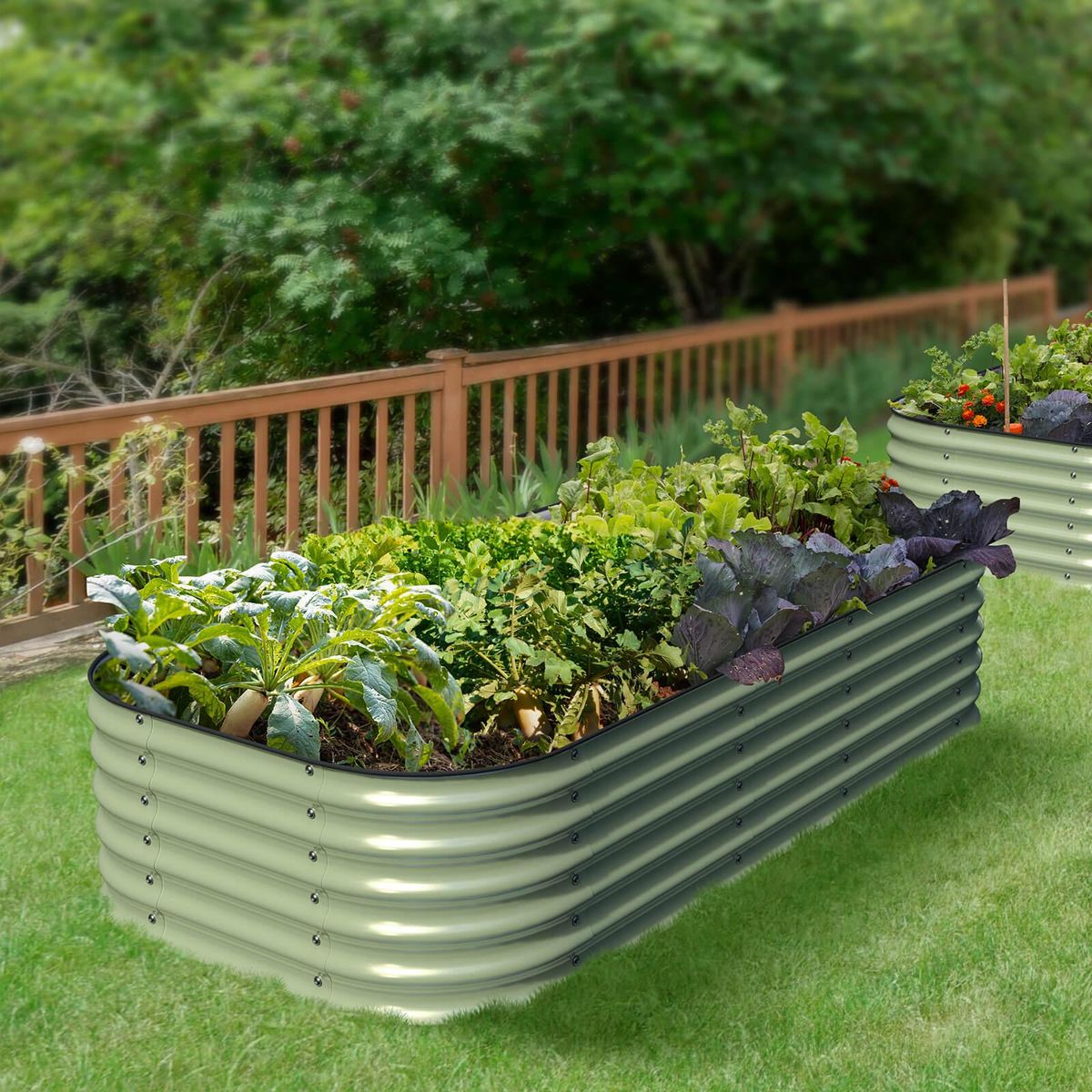 Raised Bed Gardening