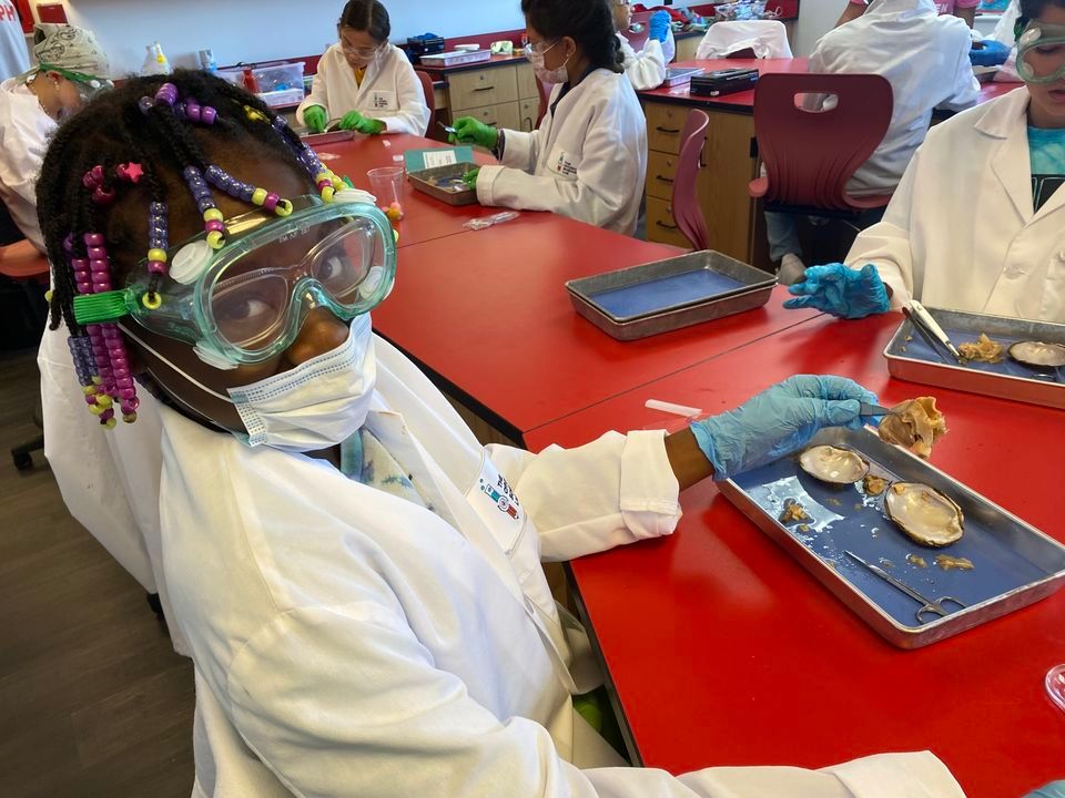 Phylum and Dissect-'Em: Dissection Summer Camp