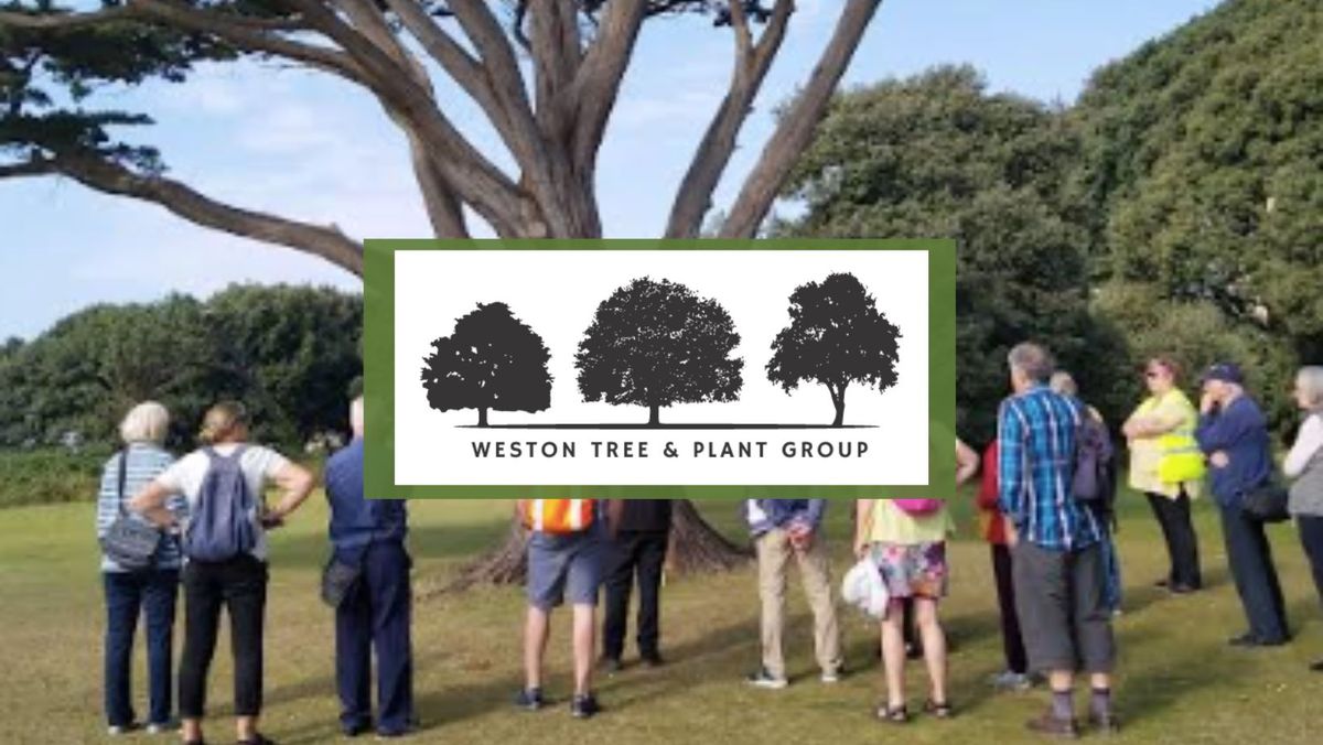 Tree & Plant Meeting - November 20th