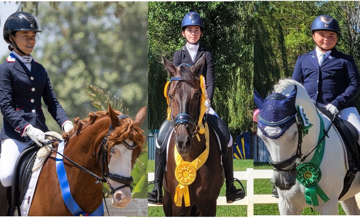 Southern CDS Junior\/Young Rider Championships