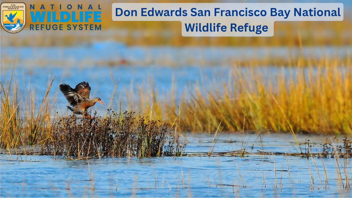 Donny Edwards at South Point Hotel and Casino - South Point Arena