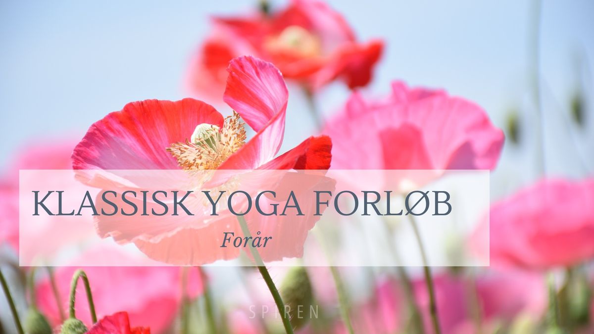 Klassisk Blid Yoga - kl. 19.00 