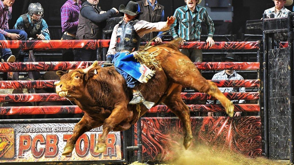 Professional Championship Bull Riders vs. Professional Championship Barrel Racing