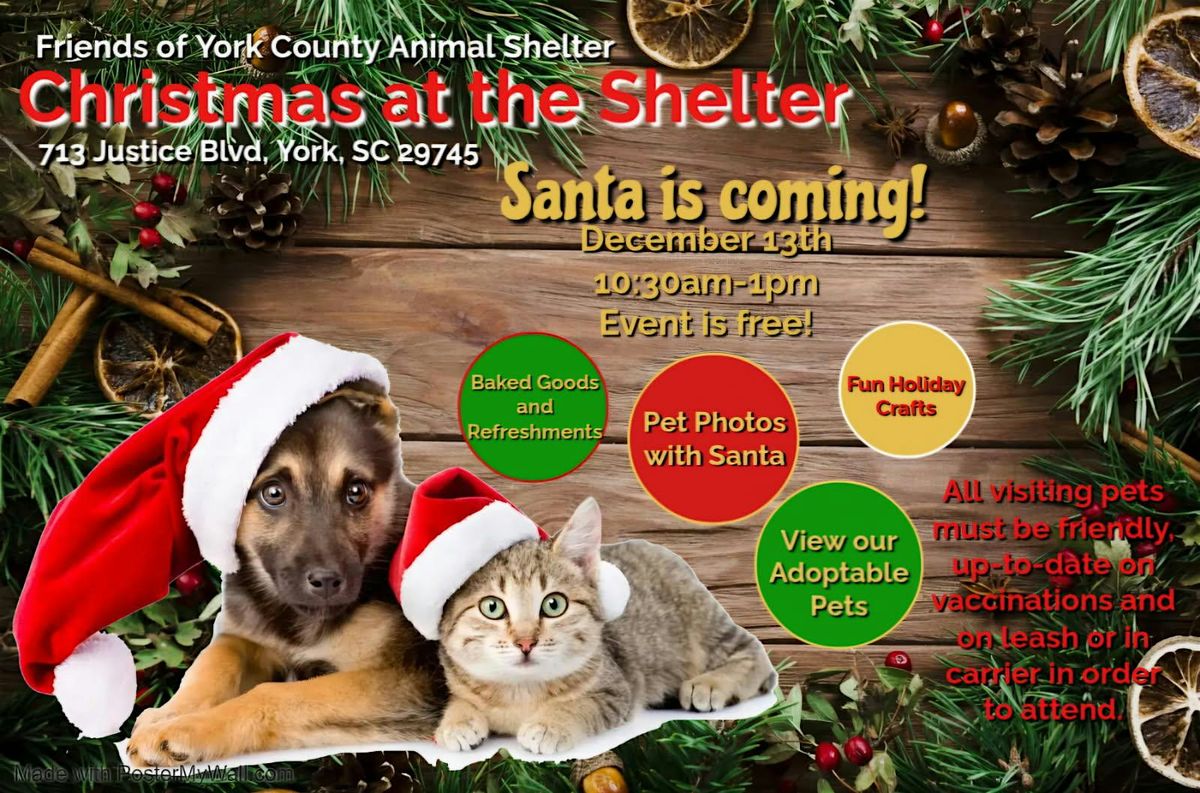 Christmas at the Shelter