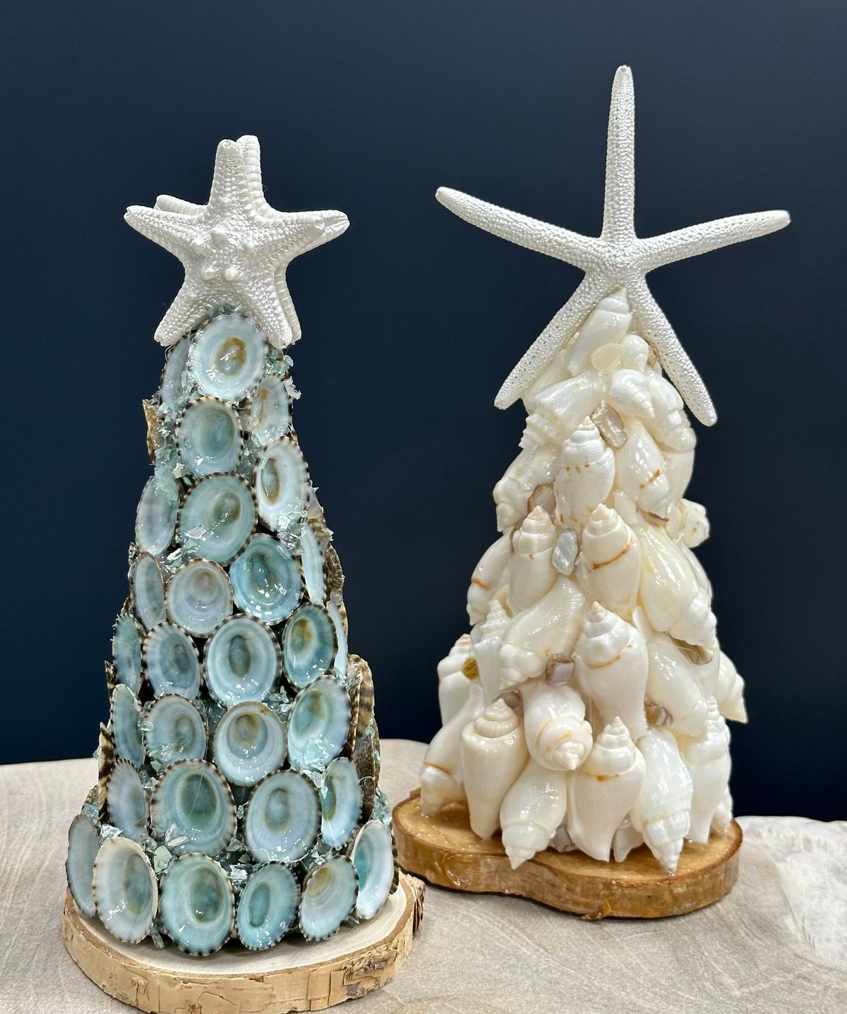 Seashell Tree