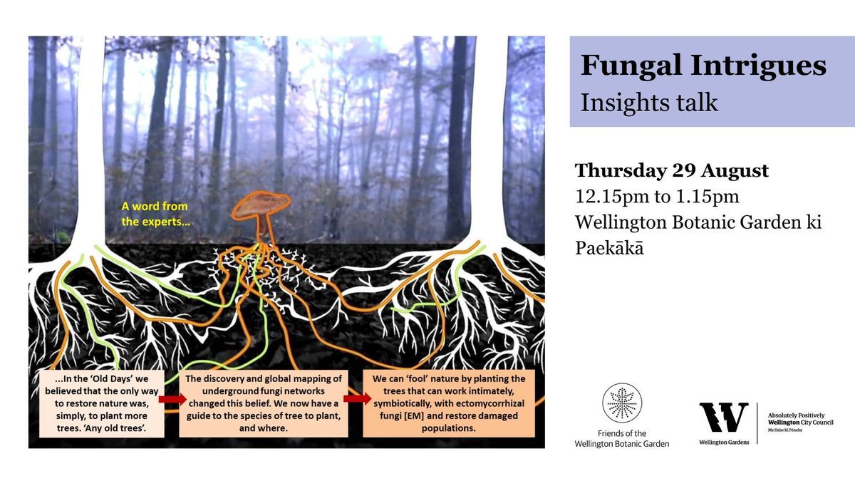 Fungal Intrigues  \u2013 Insights talk 