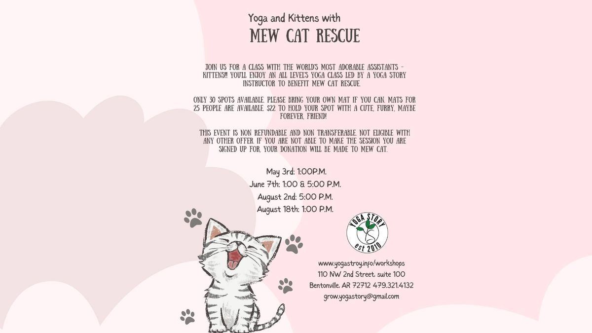 Kitten Yoga with Mew Cat Rescue