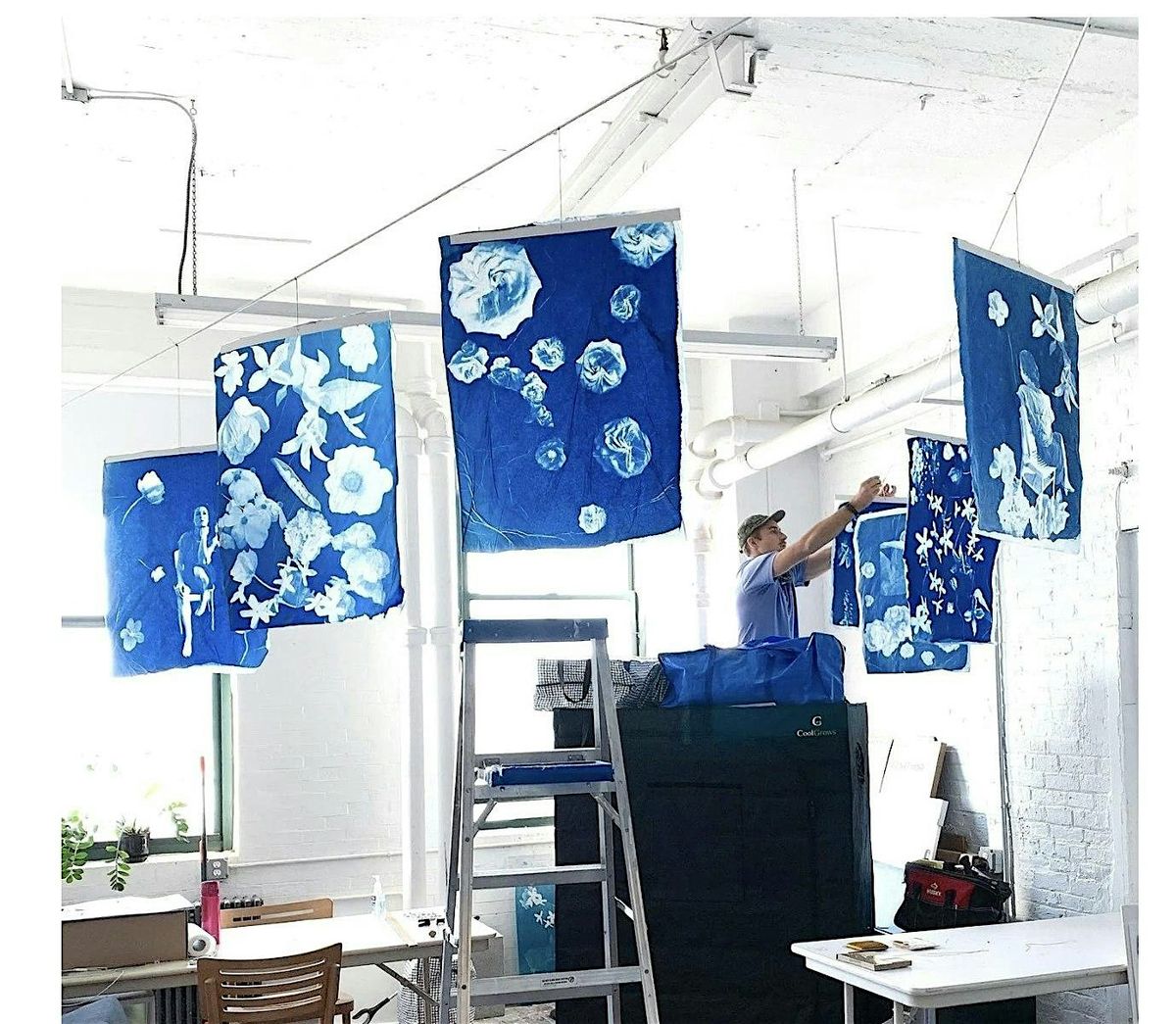 Artist Talk with Susan Murie, Cyanotype Artist