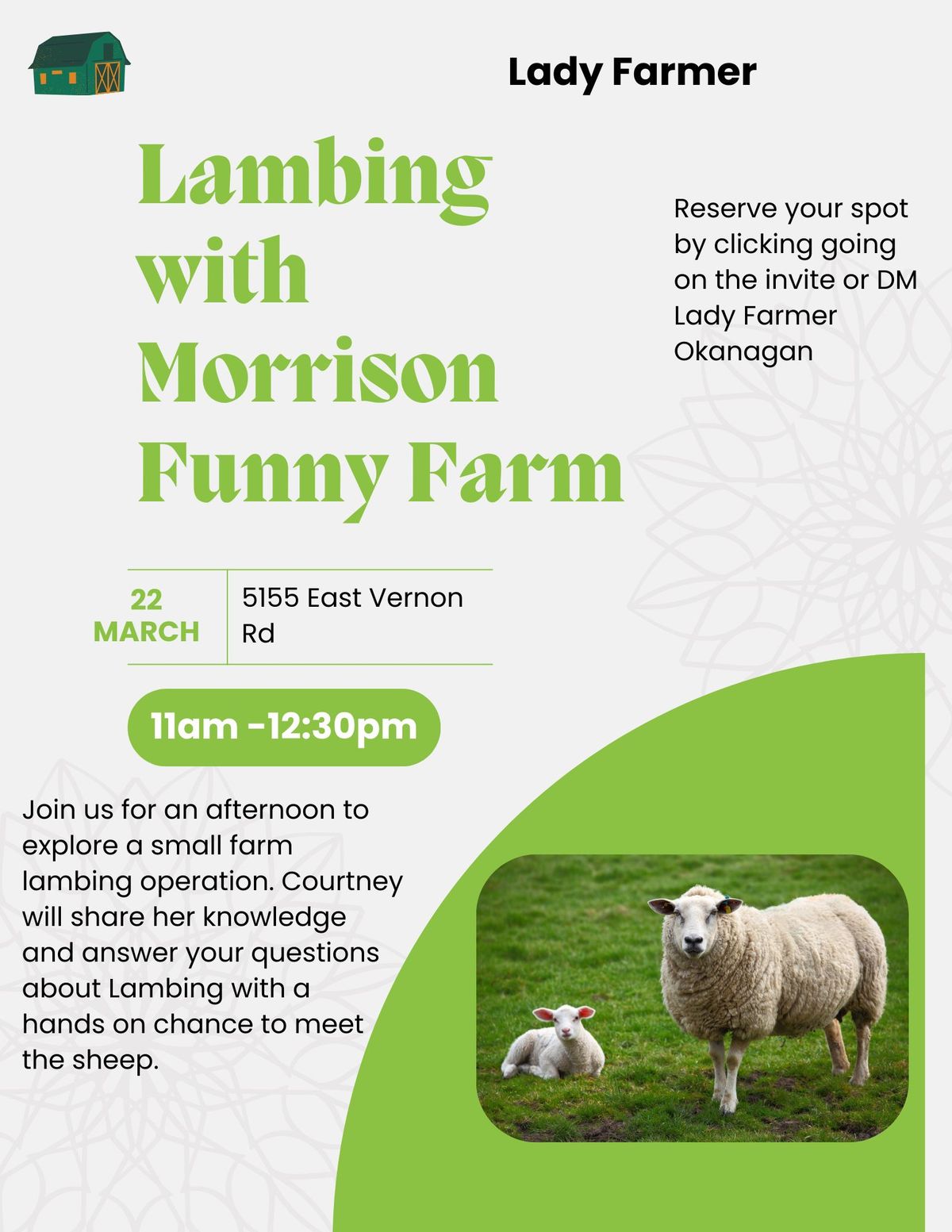 Lambing with Morrison Funny Farm